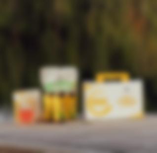 Dx4 Body balancing system