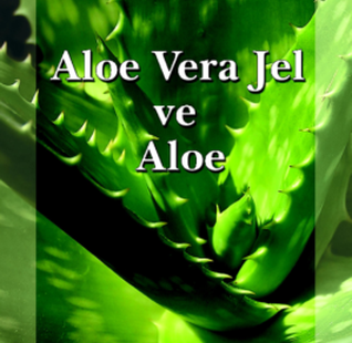 "Aloe Vera Jel ve Aloe" kitabı - Prof.Dr. D.Okan Yıllar